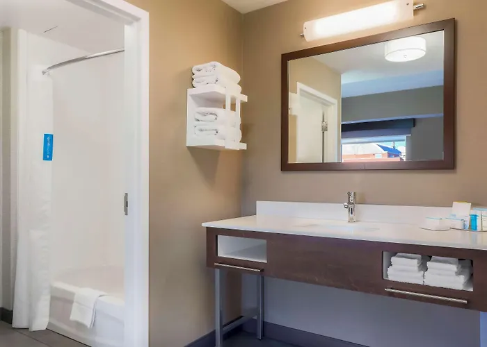 Hotel Hampton & Downtown 3*