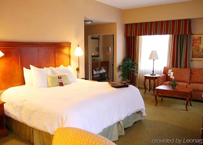 Hampton & Downtown Hotel 3*