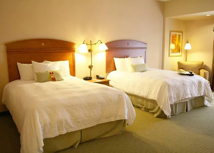 Hotel Hampton & Downtown